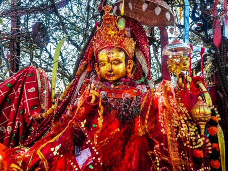 १९ हजारभन्दा बढीले गरे पाथीभरा मन्दिरमा पूजापाठ 